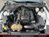 2016 Ford Mustang EcoBoost | Sacramento, CA | Lions Auto Sales 2016 Ford Mustang EcoBoost | Sacramento, CA | Lions Auto Sales