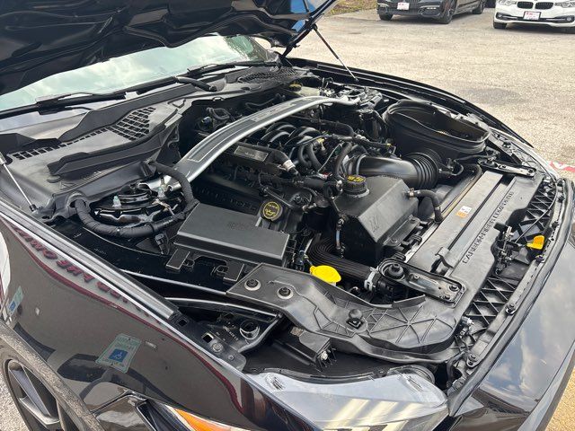2016 Ford Mustang Shelby GT350 | San Antonio, TX | Clear Choice Automotive South 2016 Ford Mustang Shelby GT350 | San Antonio, TX | Clear Choice Automotive South