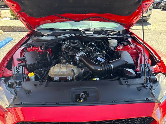 2016 Ford Mustang V6 | San Antonio, TX | Clear Choice Automotive South 2016 Ford Mustang V6 | San Antonio, TX | Clear Choice Automotive South