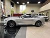2016 Ford Mustang EcoBoost Premium | Worth, IL | Titan Auto Sales 2016 Ford Mustang EcoBoost Premium | Worth, IL | Titan Auto Sales