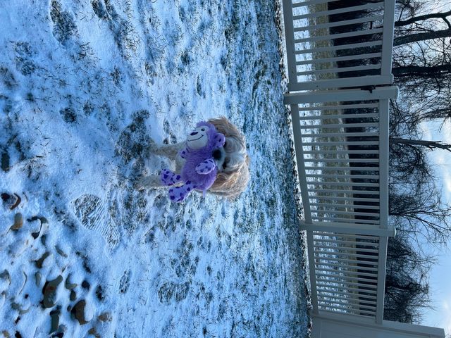 2016 Jeep Renegade 4x4 75th Anniversary