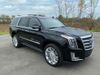 2017 Cadillac Escalade Platinum | Unadilla, GA | Brannen Motor Company