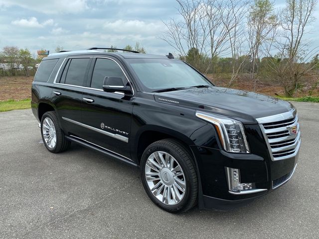 2017 Cadillac Escalade Platinum | Unadilla, GA | Brannen Motor Company