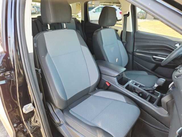 2017 Ford Escape SE | Ellisville, MO | AutoPort 2017 Ford Escape SE | Ellisville, MO | AutoPort