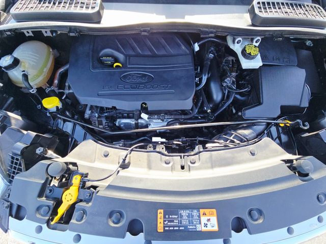 2017 Ford Escape SE | Ellisville, MO | AutoPort