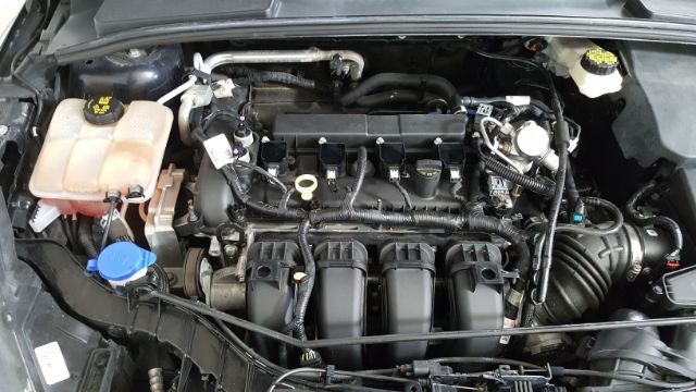 2017 Ford Focus SEL | Garland, TX | Legend Motorcars Feed Account