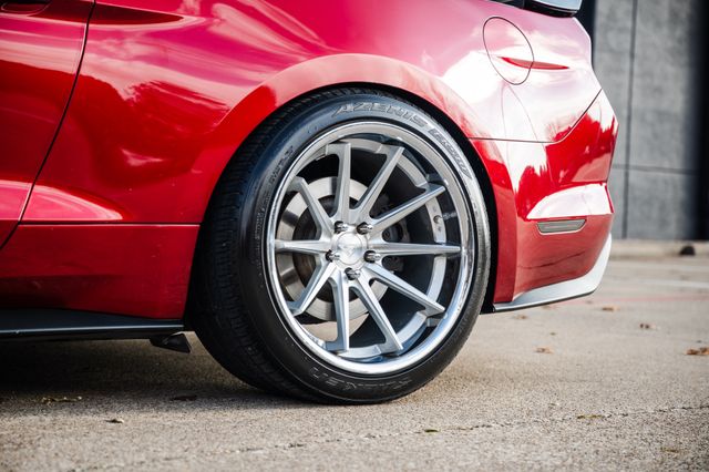 2017 Ford Mustang GT Premium | Addison, TX | Apex Auto Sports 2017 Ford Mustang GT Premium | Addison, TX | Apex Auto Sports