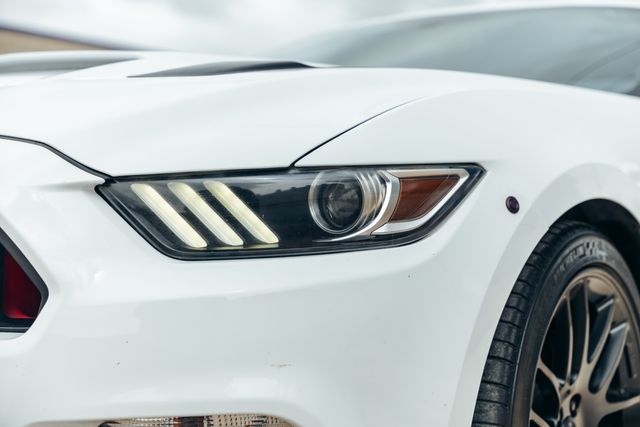 2017 Ford Mustang GT Premium | Addison, TX | Apex Auto Sports