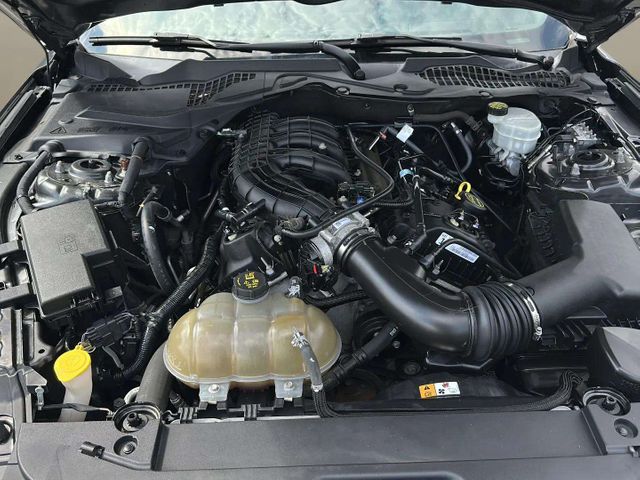 2017 Ford Mustang V6 | Alpharetta, GA | Star Motors 2017 Ford Mustang V6 | Alpharetta, GA | Star Motors