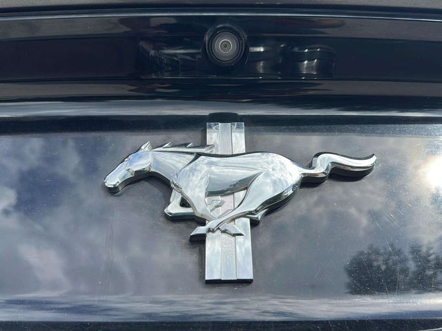 2017 Ford Mustang V6 | Alpharetta, GA | Star Motors 2017 Ford Mustang V6 | Alpharetta, GA | Star Motors