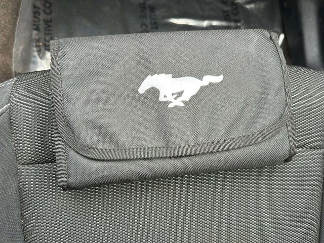 2017 Ford Mustang V6 | Alpharetta, GA | Star Motors 2017 Ford Mustang V6 | Alpharetta, GA | Star Motors