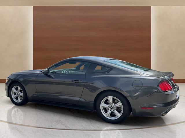 2017 Ford Mustang V6 | Alpharetta, GA | Star Motors 2017 Ford Mustang V6 | Alpharetta, GA | Star Motors