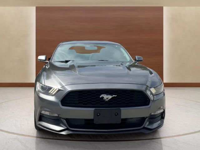 2017 Ford Mustang V6 | Alpharetta, GA | Star Motors 2017 Ford Mustang V6 | Alpharetta, GA | Star Motors