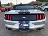 2017 Ford Mustang EcoBoost Premium | Gainesville, GA | Global Motorsports 2017 Ford Mustang EcoBoost Premium | Gainesville, GA | Global Motorsports