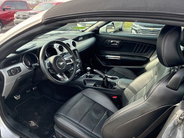 2017 Ford Mustang EcoBoost Premium CONVERTIBLE | Ontario, OH | New Haven Auto Sales 2017 Ford Mustang EcoBoost Premium CONVERTIBLE | Ontario, OH | New Haven Auto Sales