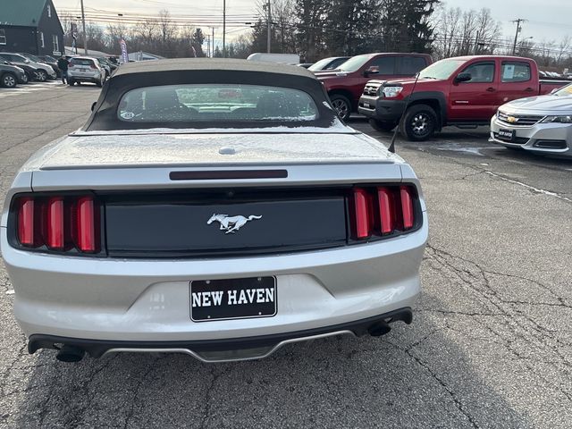 2017 Ford Mustang EcoBoost Premium CONVERTIBLE | Ontario, OH | New Haven Auto Sales 2017 Ford Mustang EcoBoost Premium CONVERTIBLE | Ontario, OH | New Haven Auto Sales