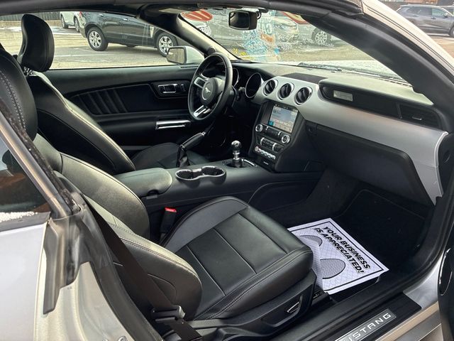 2017 Ford Mustang EcoBoost Premium CONVERTIBLE | Ontario, OH | New Haven Auto Sales 2017 Ford Mustang EcoBoost Premium CONVERTIBLE | Ontario, OH | New Haven Auto Sales