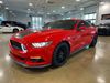 2017 Ford Mustang GT | Plano, TX | AutoRevo PowerSites - Demo1