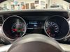 2017 Ford Mustang GT | Plano, TX | AutoRevo PowerSites - Demo2 2017 Ford Mustang GT | Plano, TX | AutoRevo PowerSites - Demo2