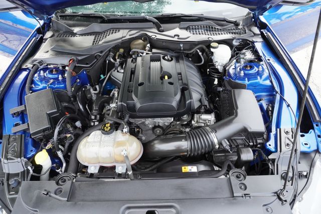 2017 Ford MUSTANG ECOBOOST PREMIUM FASTBACK | Tampa, FL | Florida Auto Sales Group