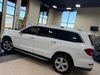 2017 Mercedes-Benz GLS 450 | Worth, IL | Titan Auto Sales