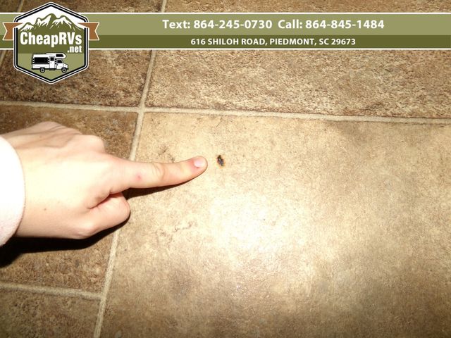 2017 Thor Chateau 31w | Piedmont, SC | Cheap RV's LLC 2017 Thor Chateau 31w | Piedmont, SC | Cheap RV's LLC