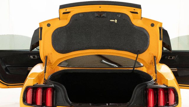 2018 Ford Mustang Shelby GT350R 2dr Fastback | Houston, TX | Houston Auto Credit 2018 Ford Mustang Shelby GT350R 2dr Fastback | Houston, TX | Houston Auto Credit