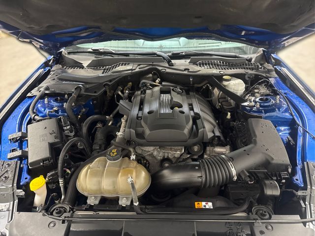 2018 Ford Mustang EcoBoost Premium | Houston, TX | Texas Star Motors