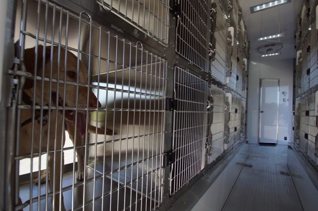 2024 Atc Mobile Animal Rescue | Keller, TX | Complete Trailers of Texas 2024 Atc Mobile Animal Rescue | Keller, TX | Complete Trailers of Texas