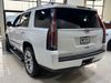 2019 Cadillac Escalade Platinum | Worth, IL | Titan Auto Sales