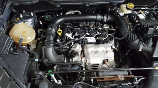 2019 Ford EcoSport SE | Garland, TX | Legend Motorcars Feed Account