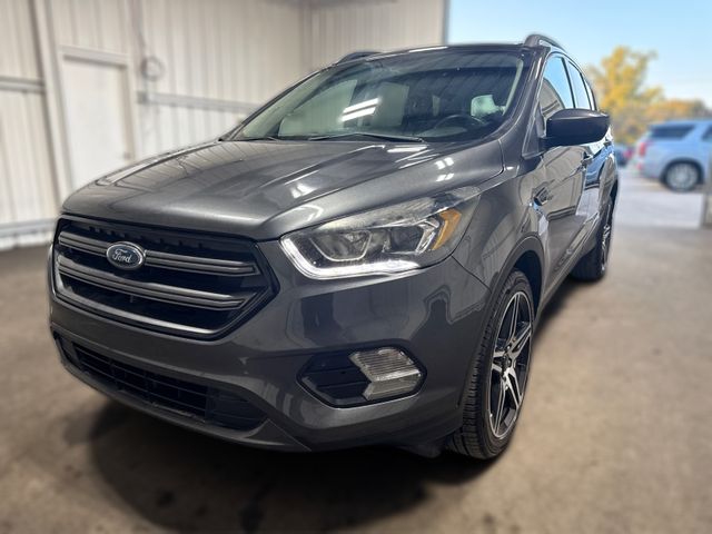 2019 Ford ESCAPE SEL 2019 Ford ESCAPE SEL
