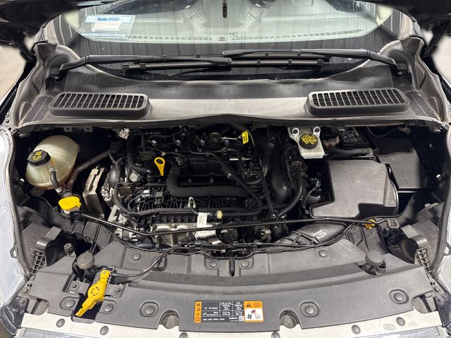 2019 Ford ESCAPE SE 2019 Ford ESCAPE SE