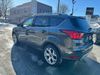 2019 Ford Escape Titanium | Milwaukee, Wisconsin | Millennium Motor Sales 2019 Ford Escape Titanium | Milwaukee, Wisconsin | Millennium Motor Sales