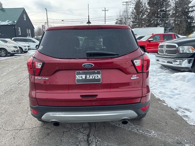 2019 Ford Escape SE 4X4 | Ontario, OH | New Haven Auto Sales 2019 Ford Escape SE 4X4 | Ontario, OH | New Haven Auto Sales