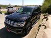 2019 Ford Expedition MAX Limited | Alexandria, Minnesota | Image Auto Sales (MN)