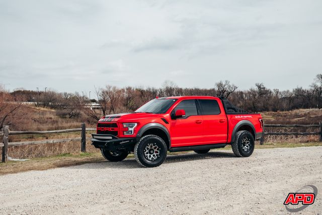 2019 Ford F-150 Raptor Shelby Baja 2019 Ford F-150 Raptor Shelby Baja