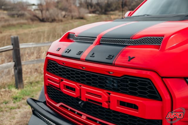 2019 Ford F-150 Raptor Shelby Baja 2019 Ford F-150 Raptor Shelby Baja