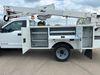 2019 Ford F-550 BUCKET BOOM TRUCK  | Lake In The Hills, IL | Lemon Grove Trucks