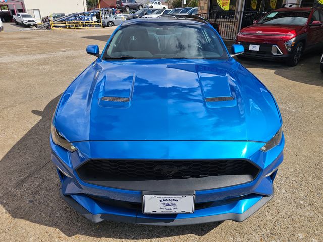 2019 Ford Mustang EcoBoost | Brownsville TX | English Motors 2019 Ford Mustang EcoBoost | Brownsville TX | English Motors