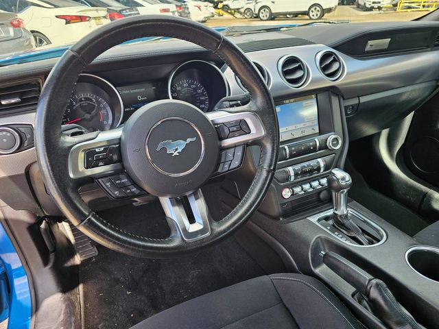 2019 Ford Mustang EcoBoost | Brownsville TX | English Motors