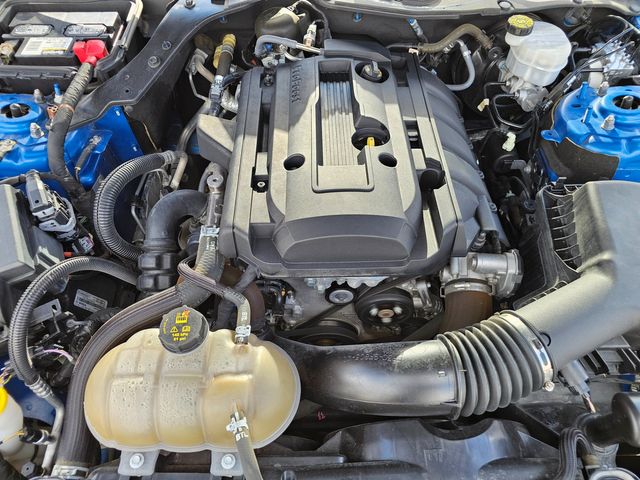 2019 Ford Mustang EcoBoost | Brownsville TX | English Motors