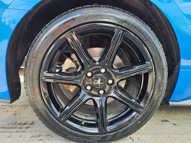 2019 Ford Mustang EcoBoost | Brownsville TX | English Motors 2019 Ford Mustang EcoBoost | Brownsville TX | English Motors