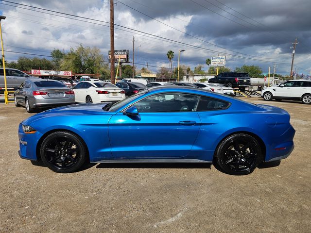 2019 Ford Mustang EcoBoost | Brownsville TX | English Motors