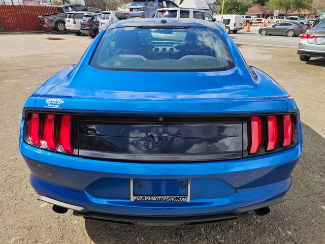 2019 Ford Mustang EcoBoost | Brownsville TX | English Motors 2019 Ford Mustang EcoBoost | Brownsville TX | English Motors