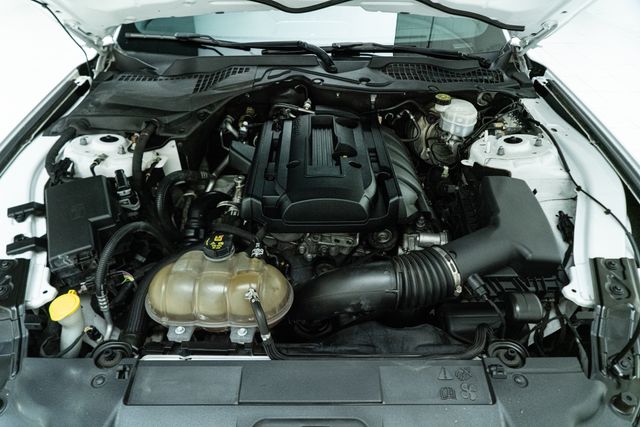 2019 Ford Mustang EcoBoost Premium w/ Pony Package | Carrollton, TX | Texas Hot Rides