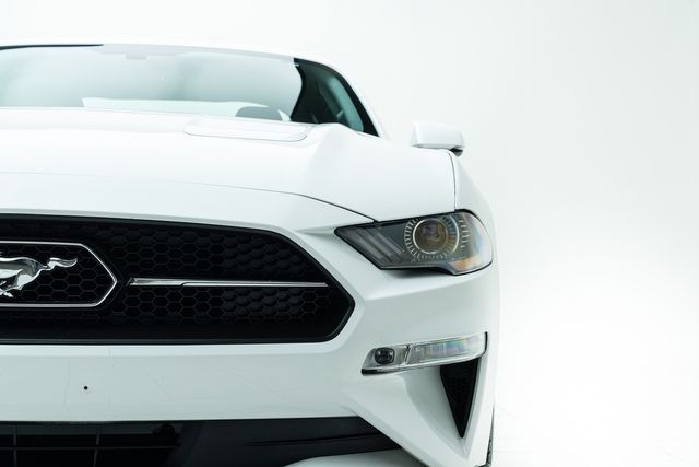 2019 Ford Mustang EcoBoost Premium w/ Pony Package | Carrollton, TX | Texas Hot Rides 2019 Ford Mustang EcoBoost Premium w/ Pony Package | Carrollton, TX | Texas Hot Rides