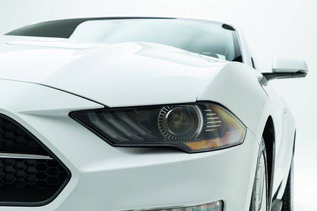 2019 Ford Mustang EcoBoost Premium w/ Pony Package | Carrollton, TX | Texas Hot Rides