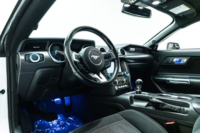 2019 Ford Mustang GT 5.0 Performance Package w/ Upgrades | Carrollton, TX | Texas Hot Rides 2019 Ford Mustang GT 5.0 Performance Package w/ Upgrades | Carrollton, TX | Texas Hot Rides