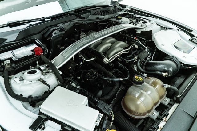 2019 Ford Mustang GT 5.0 Performance Package w/ Upgrades | Carrollton, TX | Texas Hot Rides 2019 Ford Mustang GT 5.0 Performance Package w/ Upgrades | Carrollton, TX | Texas Hot Rides